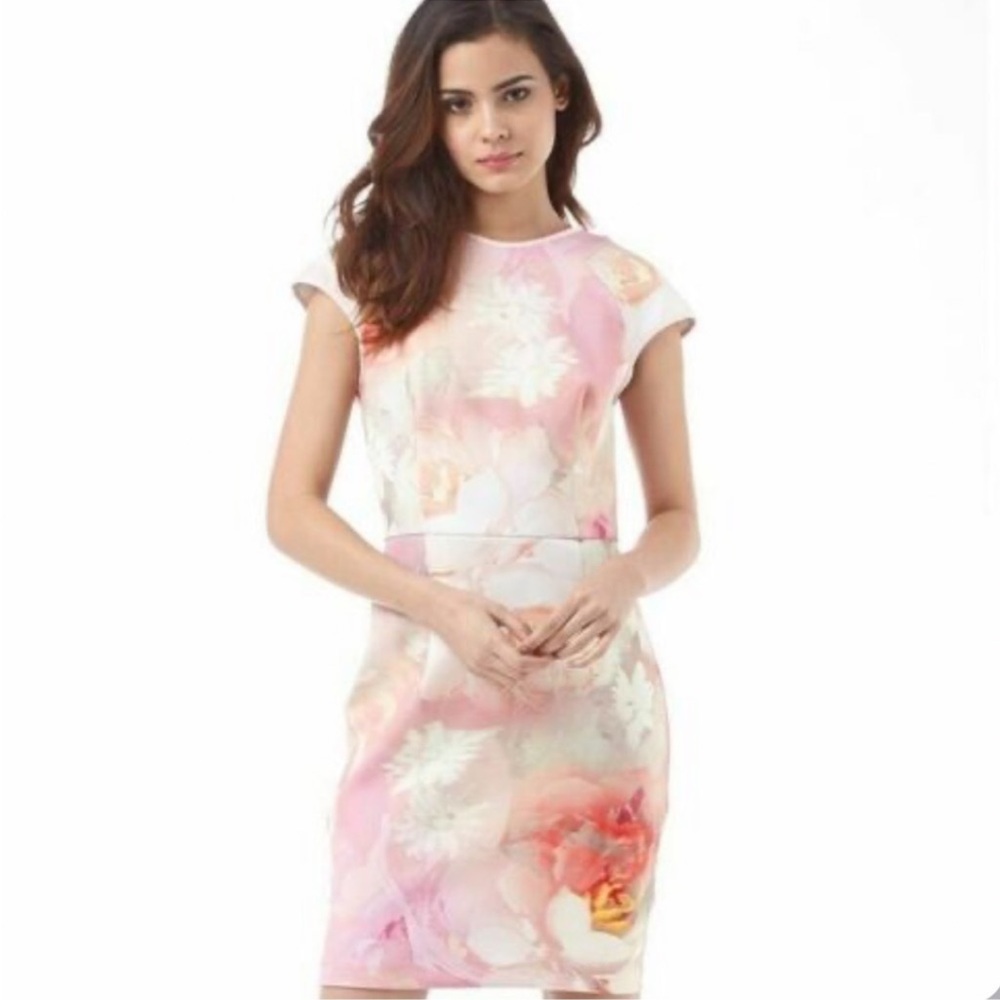 Ted Baker London Quora Rose On Canvas Dress in Nude Pink